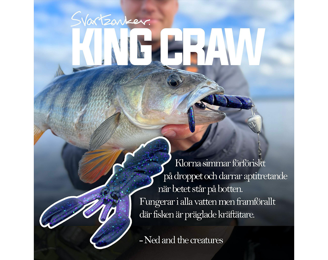 SvartZonker Ned Starter Kit Surpreme